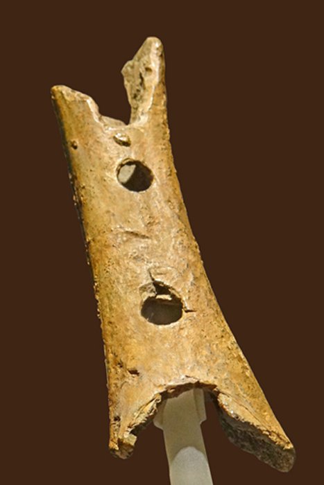 Неандертальская флейта из Divje Babe.