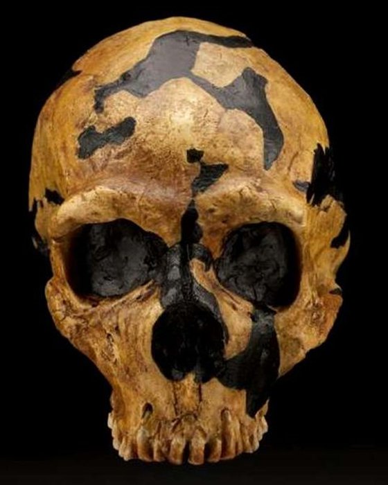 Череп неандертальца найден внутри Шанидара.