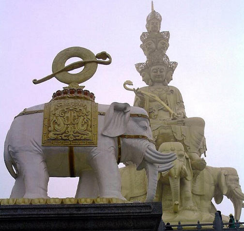 Слонистый слон