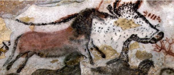 Большой зал быков, 15 000-13 000 лет до н.э., палеолитическая наскальная живопись, Ласко, Франция © Ministère de la Culture et de la Communication