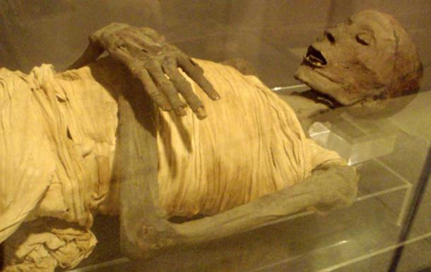 Мумия из египетского мужчины высшего класса периода саитов.
